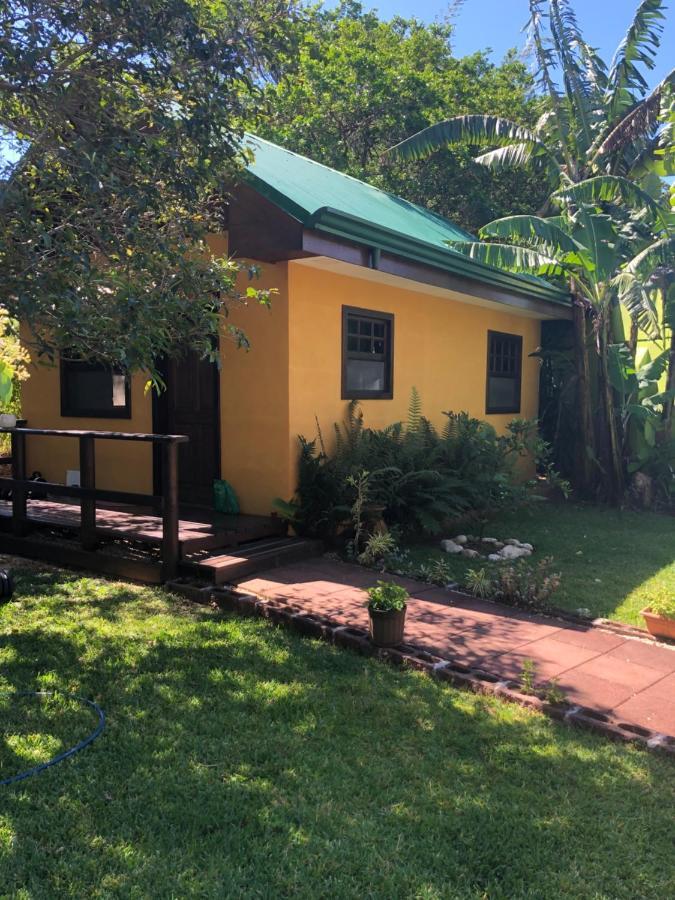 Airport Rio Segundo Studio Bed and Breakfast Alajuela Exterior foto