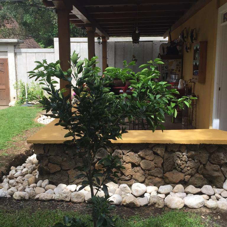 Airport Rio Segundo Studio Bed and Breakfast Alajuela Exterior foto