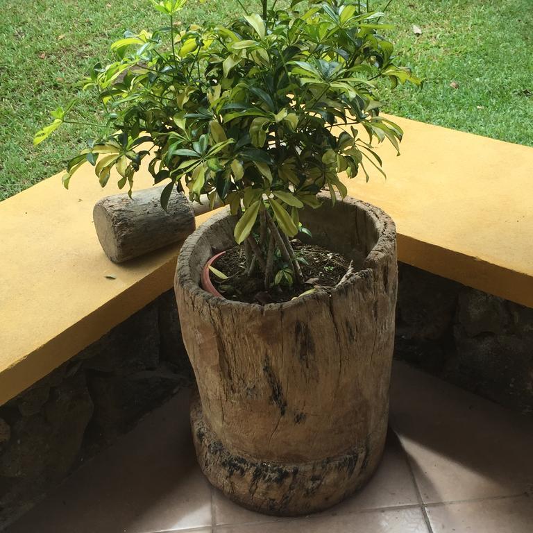 Airport Rio Segundo Studio Bed and Breakfast Alajuela Exterior foto